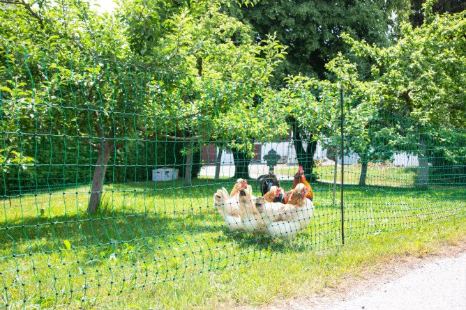 PoultryNet Doppelspitze 106 cm,  elektrifizierbar