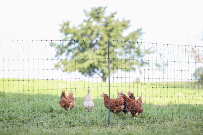 PoultryNet Premium Doppelspitze 106 cm, elektrifizierbar