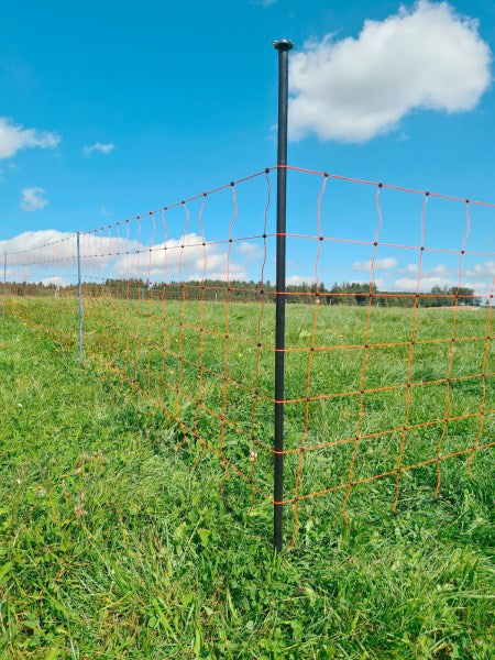 Unterstützungspfahl für Weidenetze