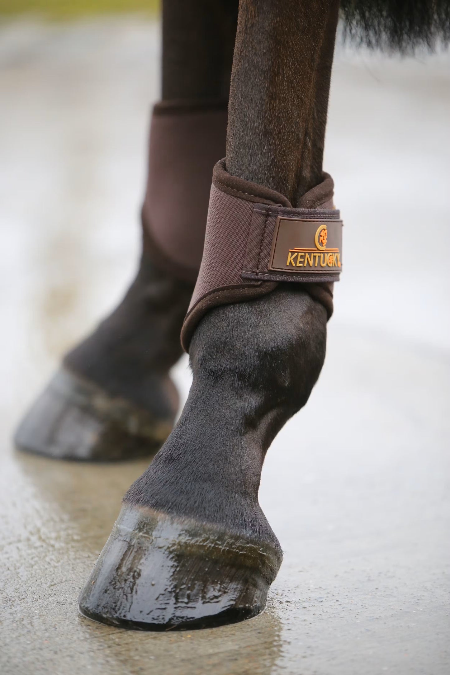 Kentucky 3D-Spacer Turnout Boots short rear