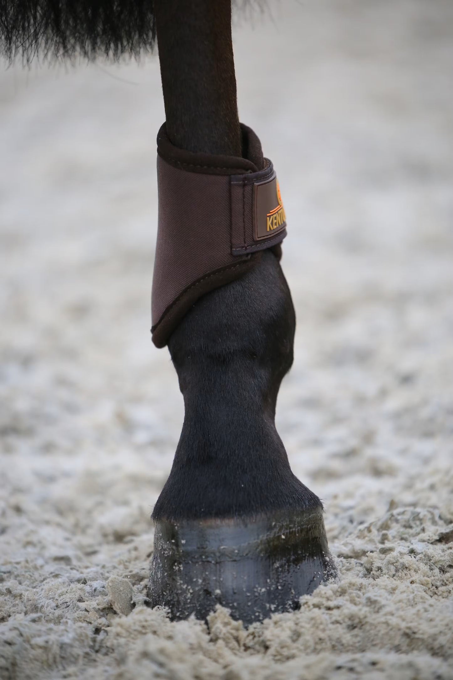 Kentucky 3D-Spacer Turnout Boots short rear