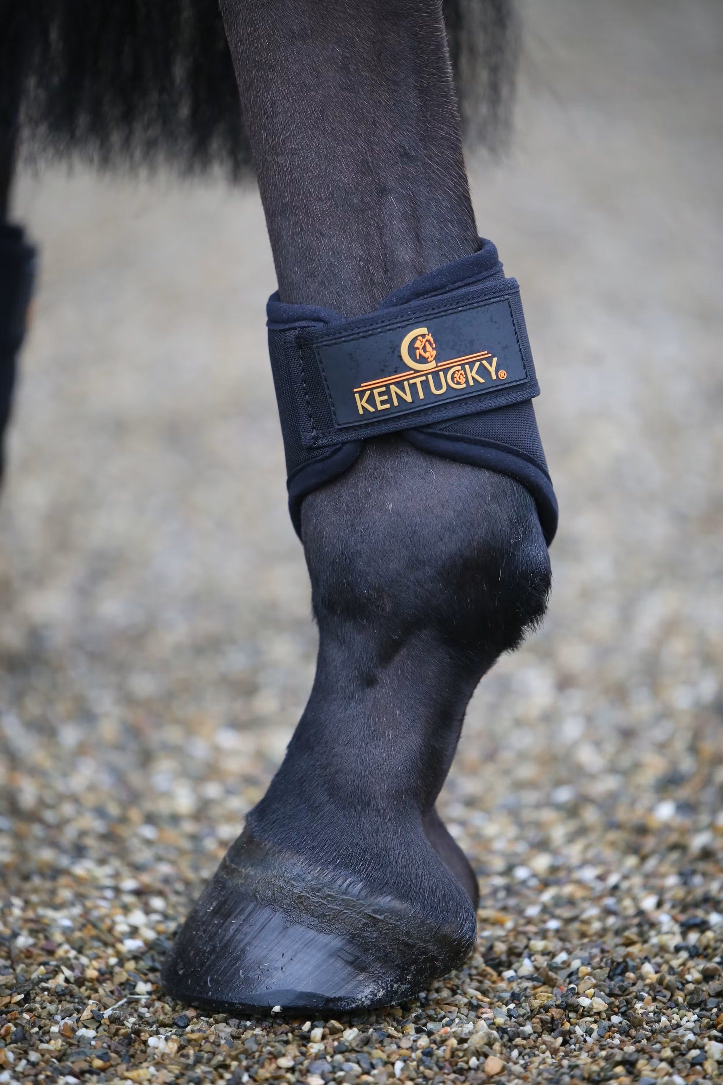 Kentucky 3D-Spacer Turnout Boots short rear