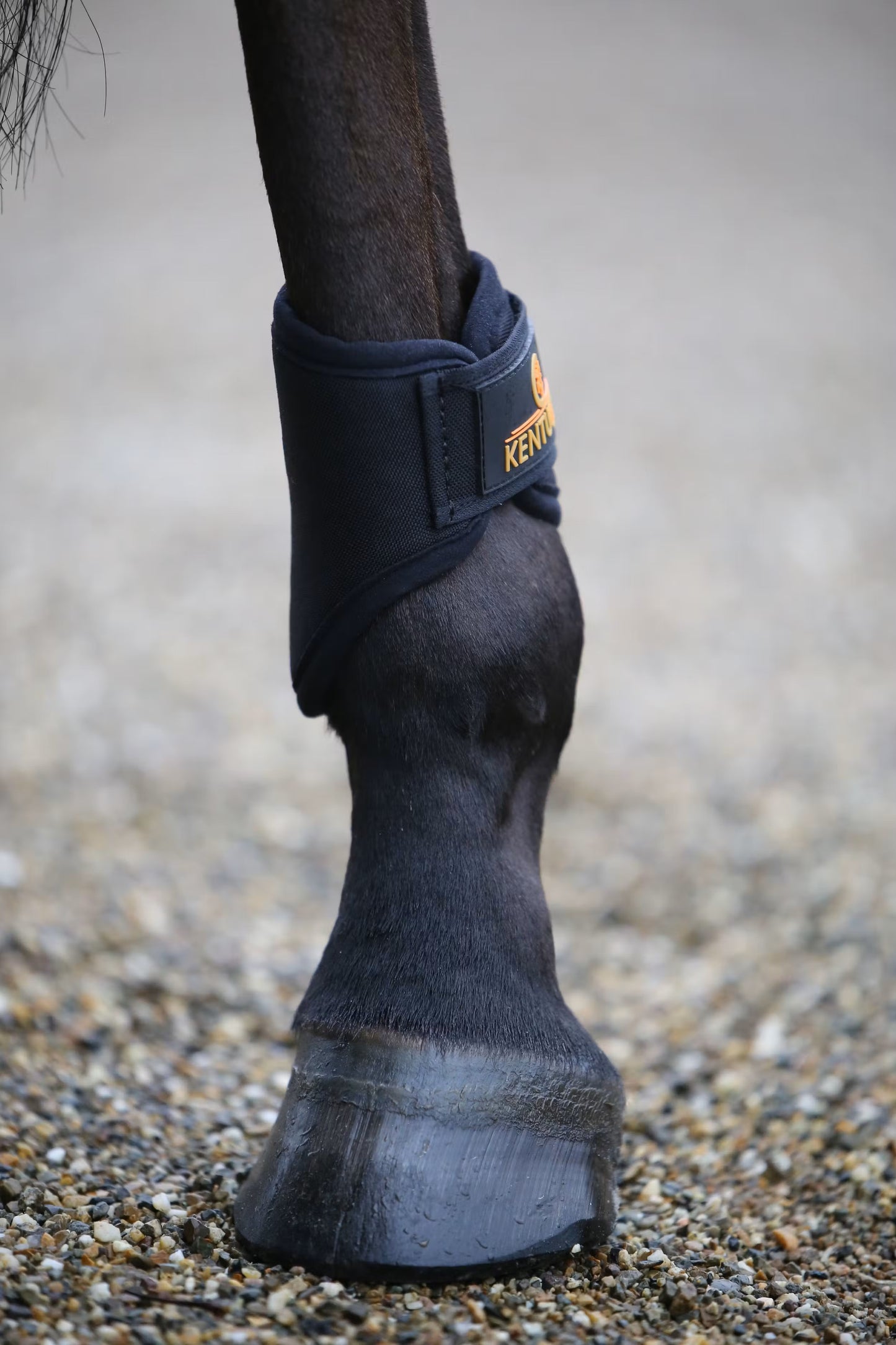 Kentucky 3D-Spacer Turnout Boots short rear
