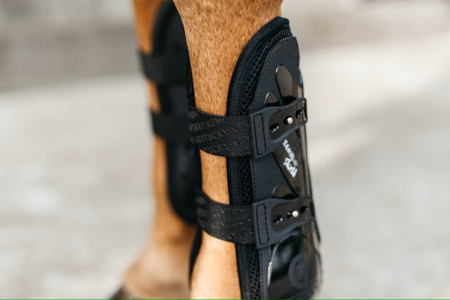Kentucky Springgamaschen Bamboo Elastic front