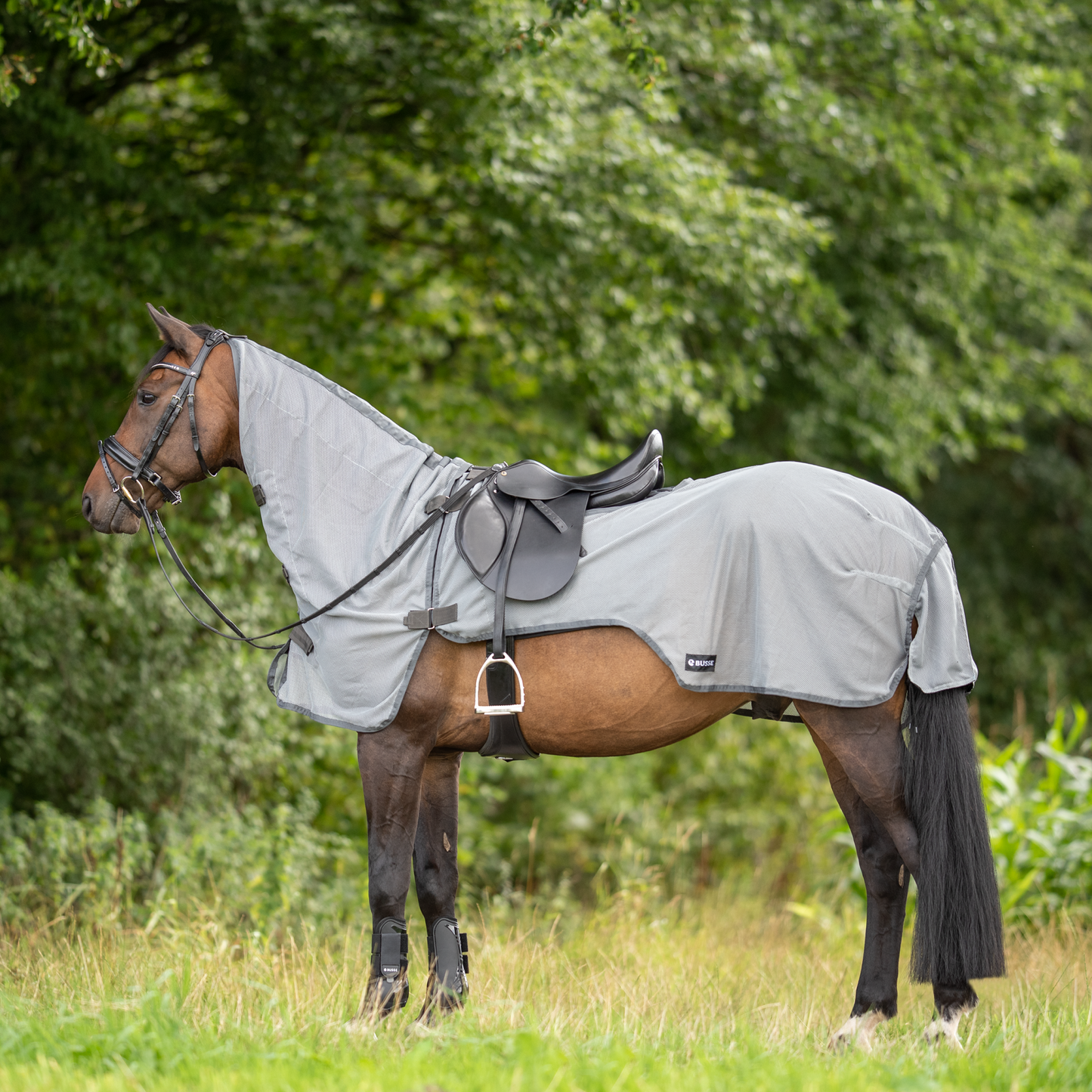 Ausreitdecke Flexi Fly Busse III