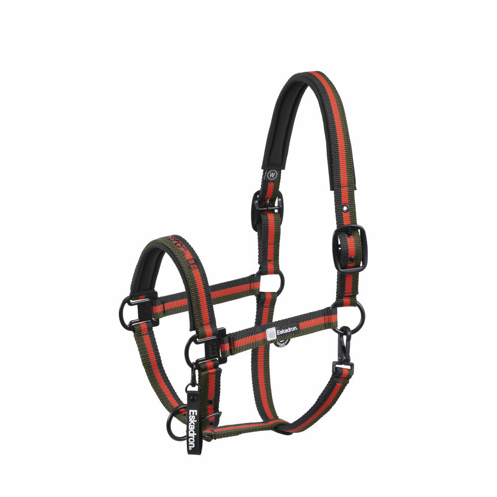 Halfter Double Pin Dynamic 2025 A/W