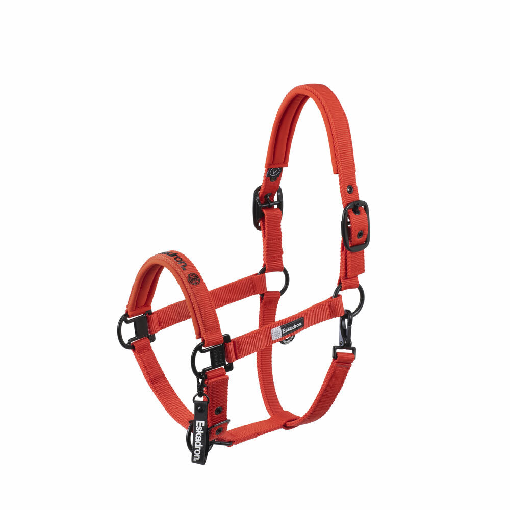 Halfter Double Pin Dynamic 2025 A/W