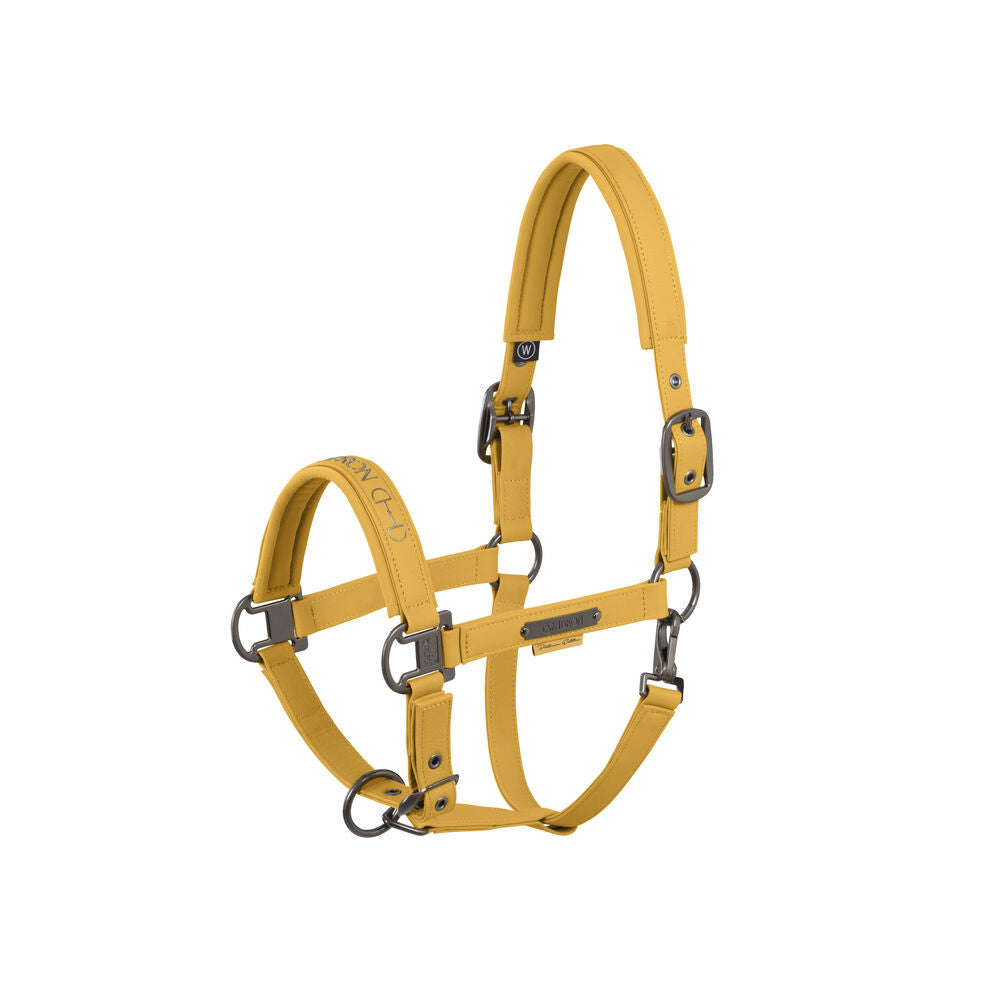 Halfter Faux Leather Double Pin Platinum 25