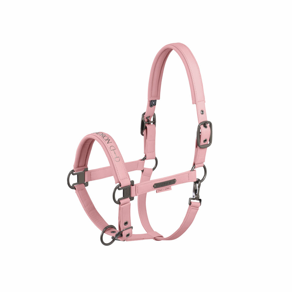 Halfter Faux Leather Double Pin Platinum 25