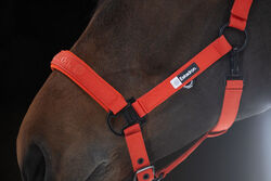 Halfter Sparkle Double Pin Dynamic 2025 A/W