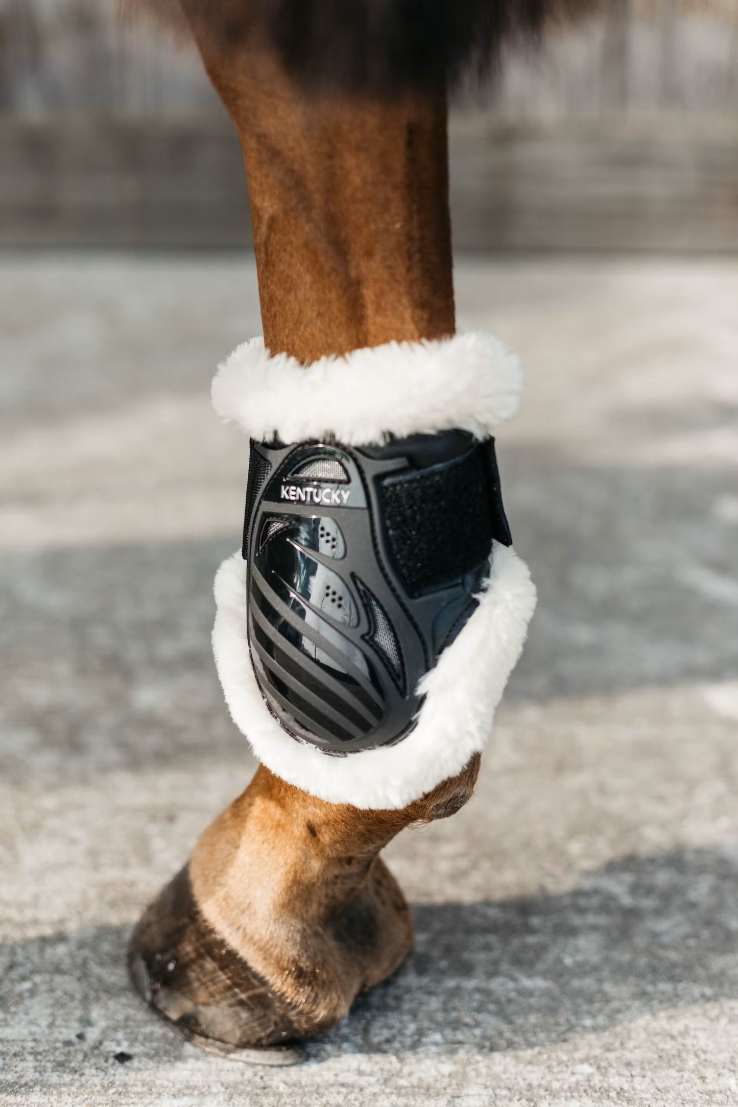 Kentucky Sheepskin young horse vegan rear