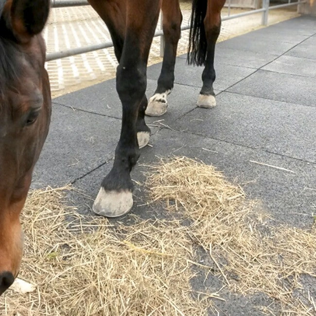 Tough Mat Stallmatte 100x100x4 cm