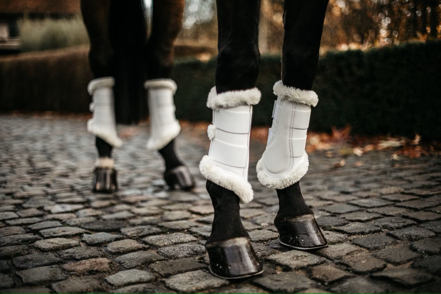 Kentucky Turnout Boots Air