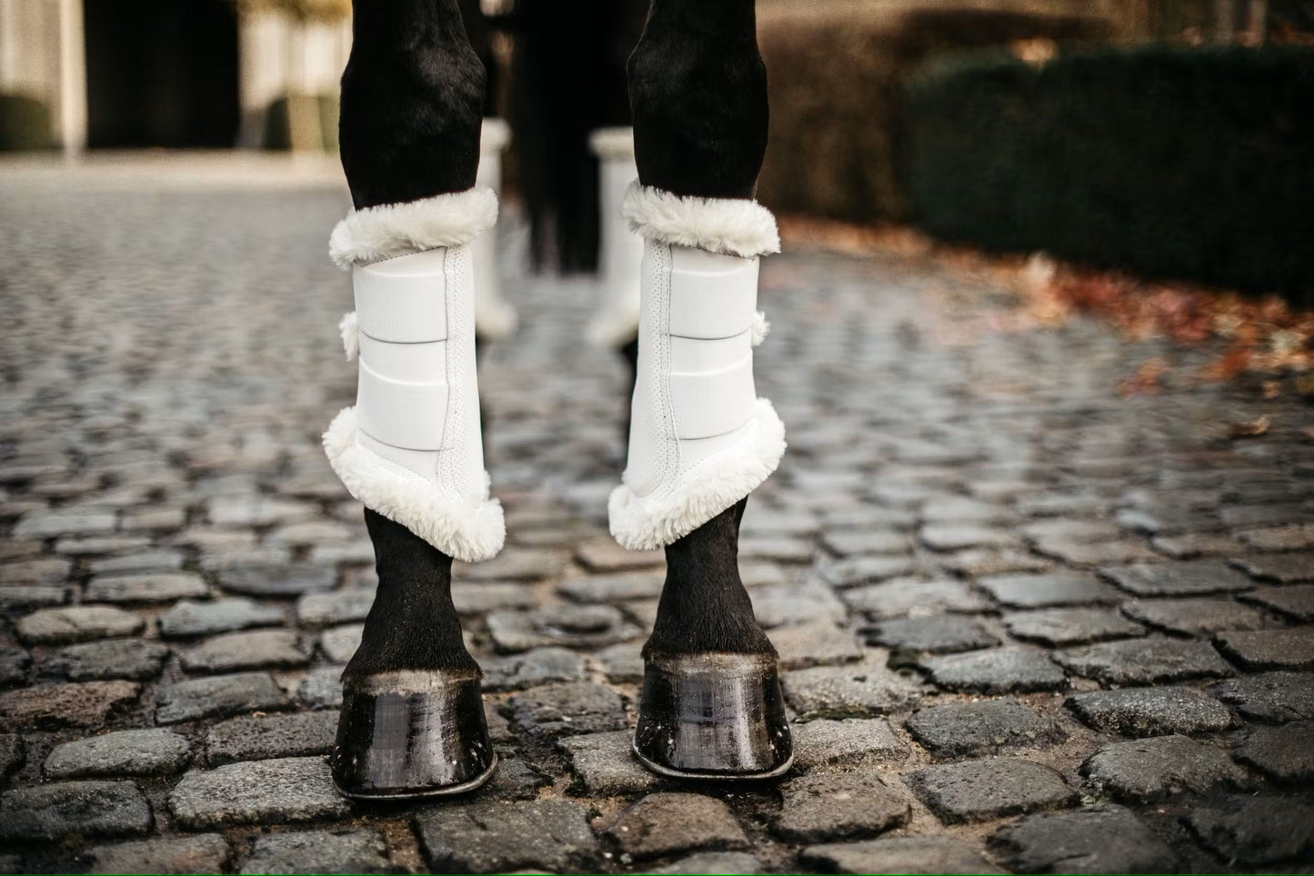 Kentucky Turnout Boots Air