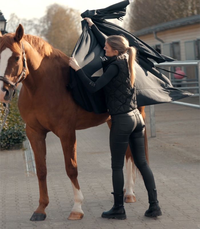 Health + Care Ice-Layer Decke