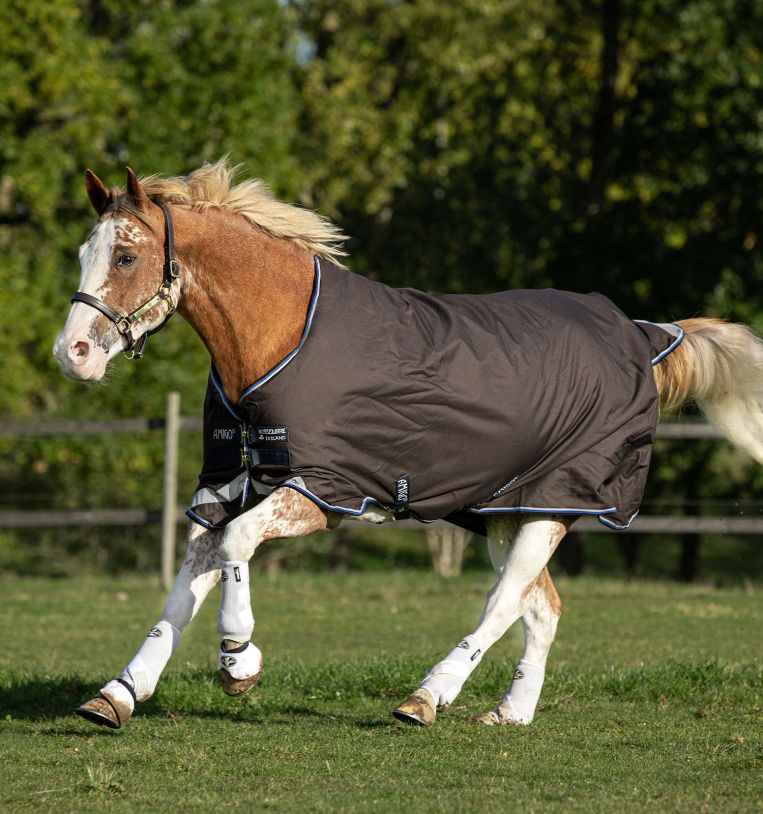 Amigo Bravo 12 Original Turnout (100g Light)