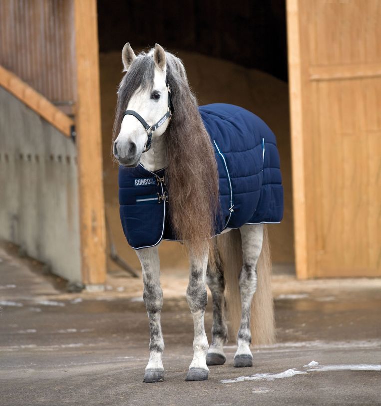 Rambo Stable Rug (400 g Heavy)