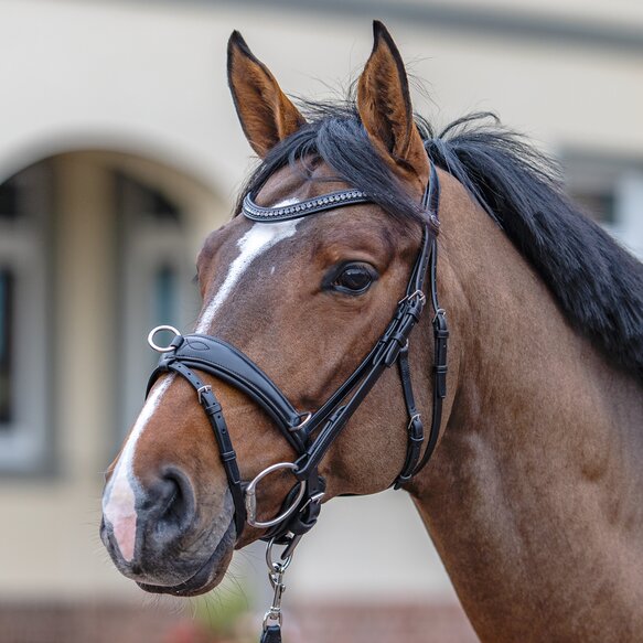 Longiertrense Passier