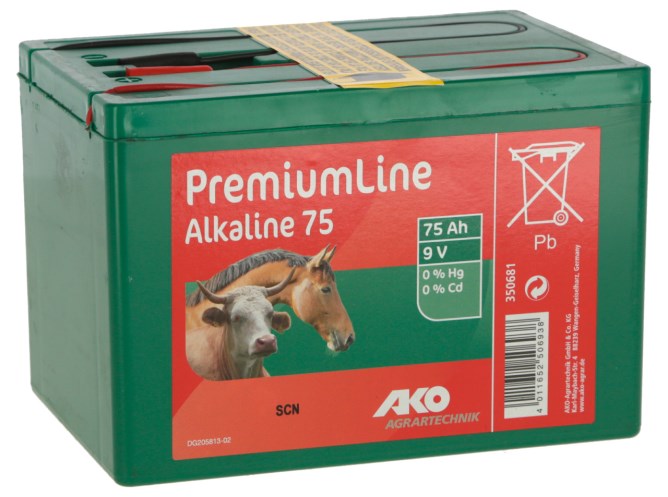 Alkaline Trockenbatterie 9 Volt