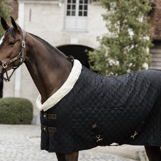 Show Rug