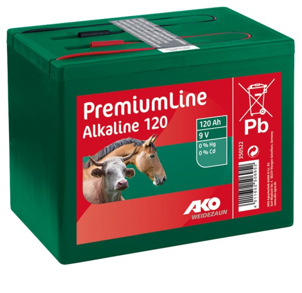 Alkaline Trockenbatterie 9 Volt