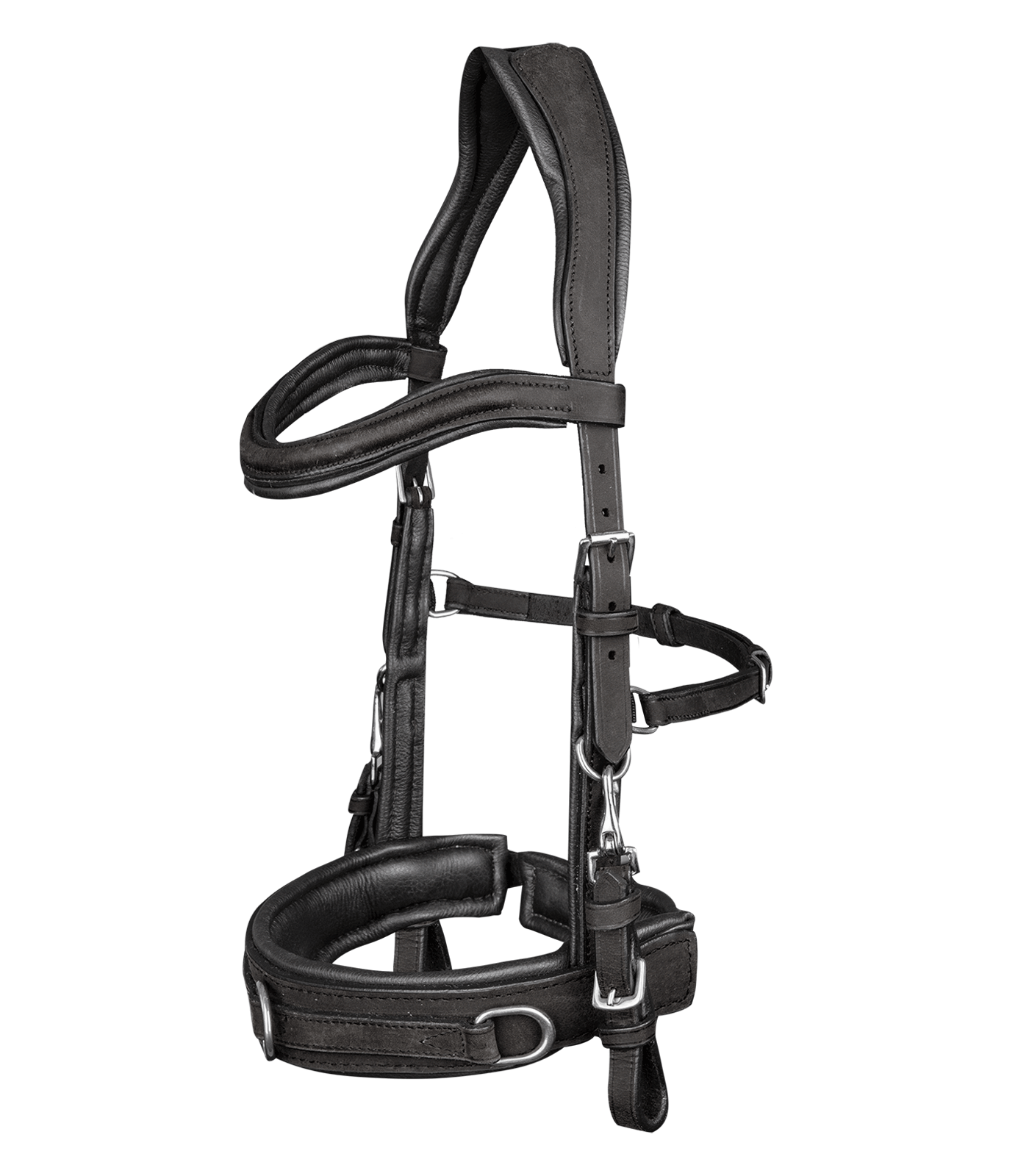 Lederkappzaum Anatomic