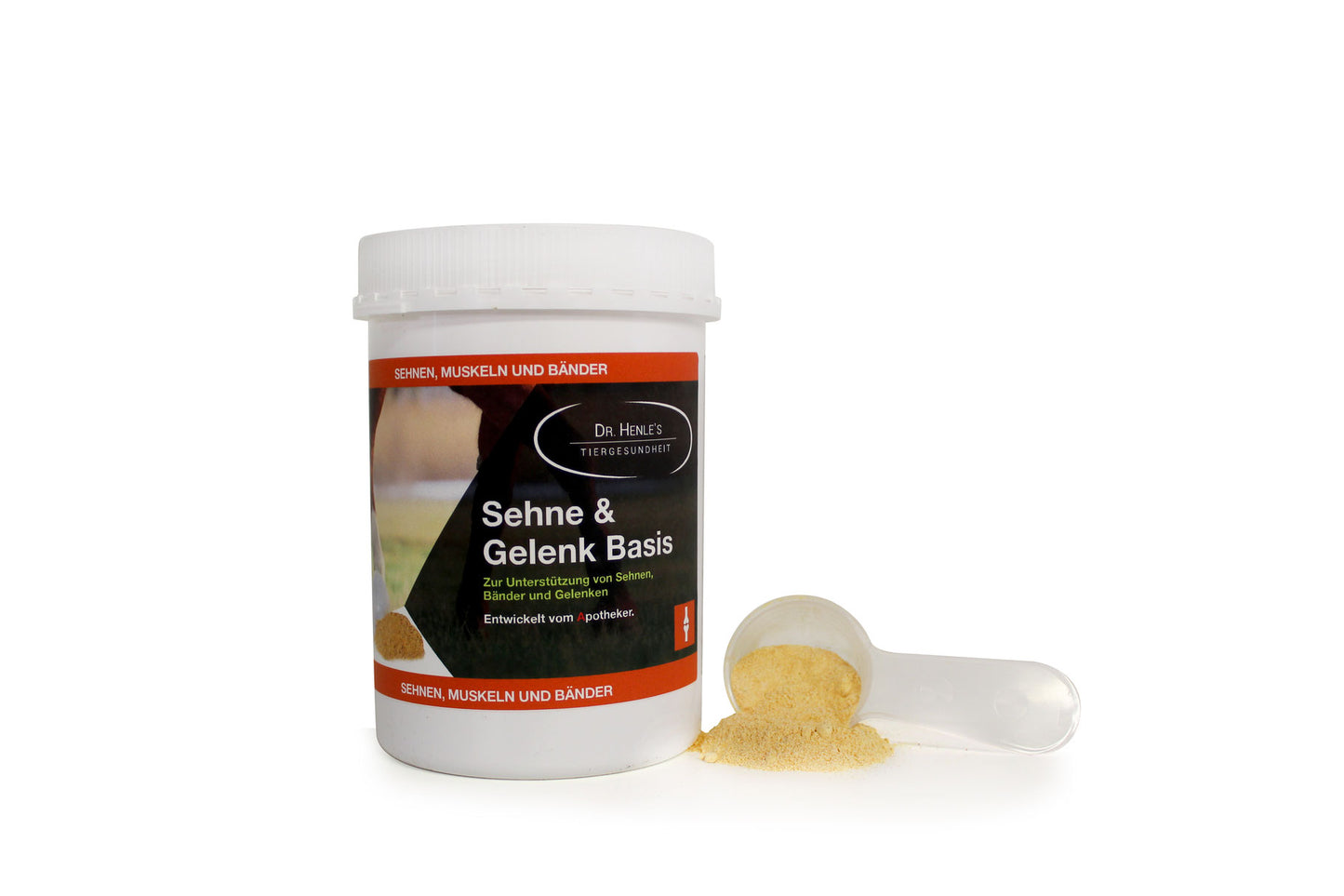 Sehne & Gelenk Basis