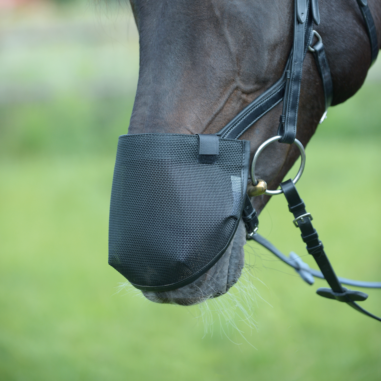 Nüsternschutz Fly Professional Anatomic
