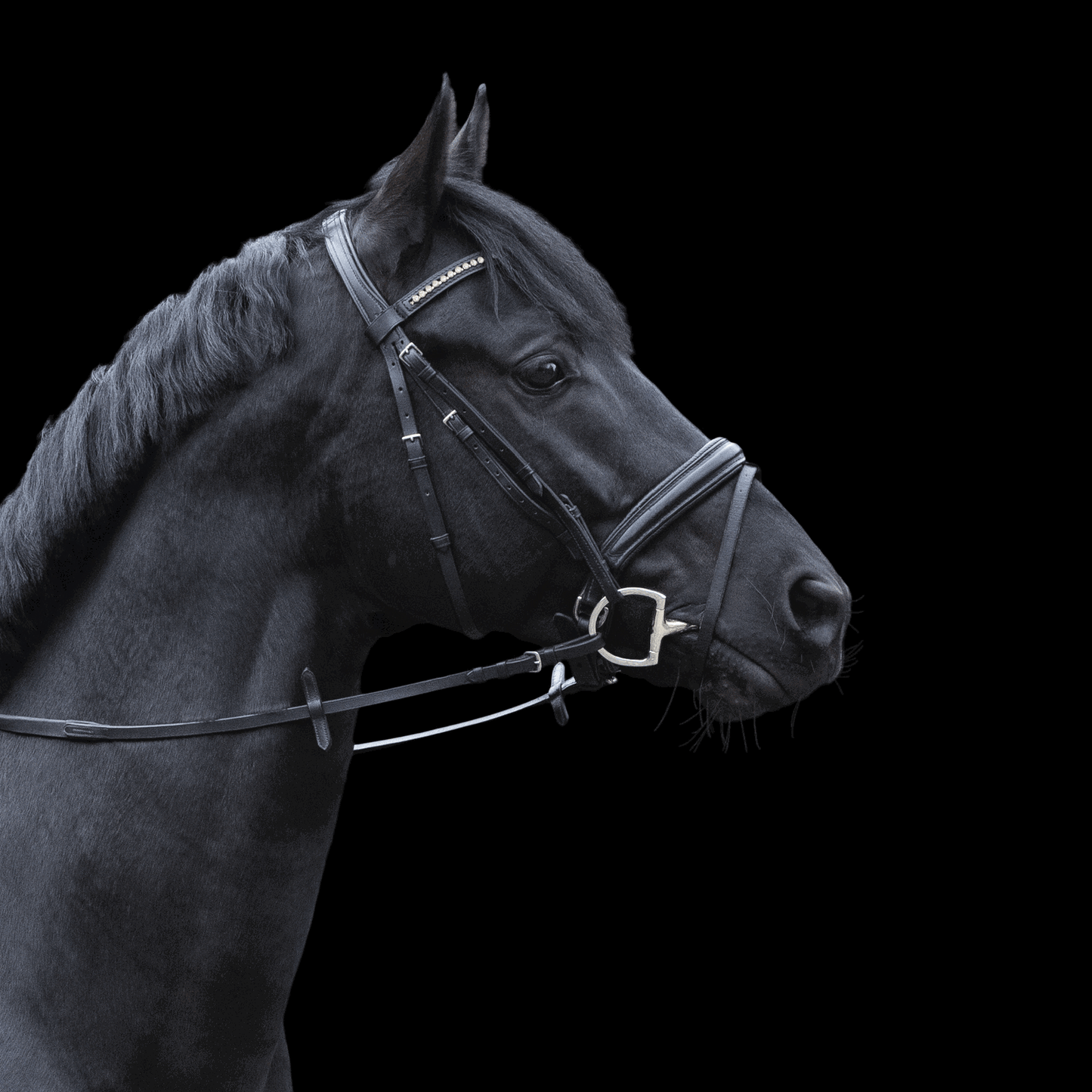 Dynamic RS Olivenkopfgebiss mit D-förmigem Ring 14 mm doppelt gebrochen