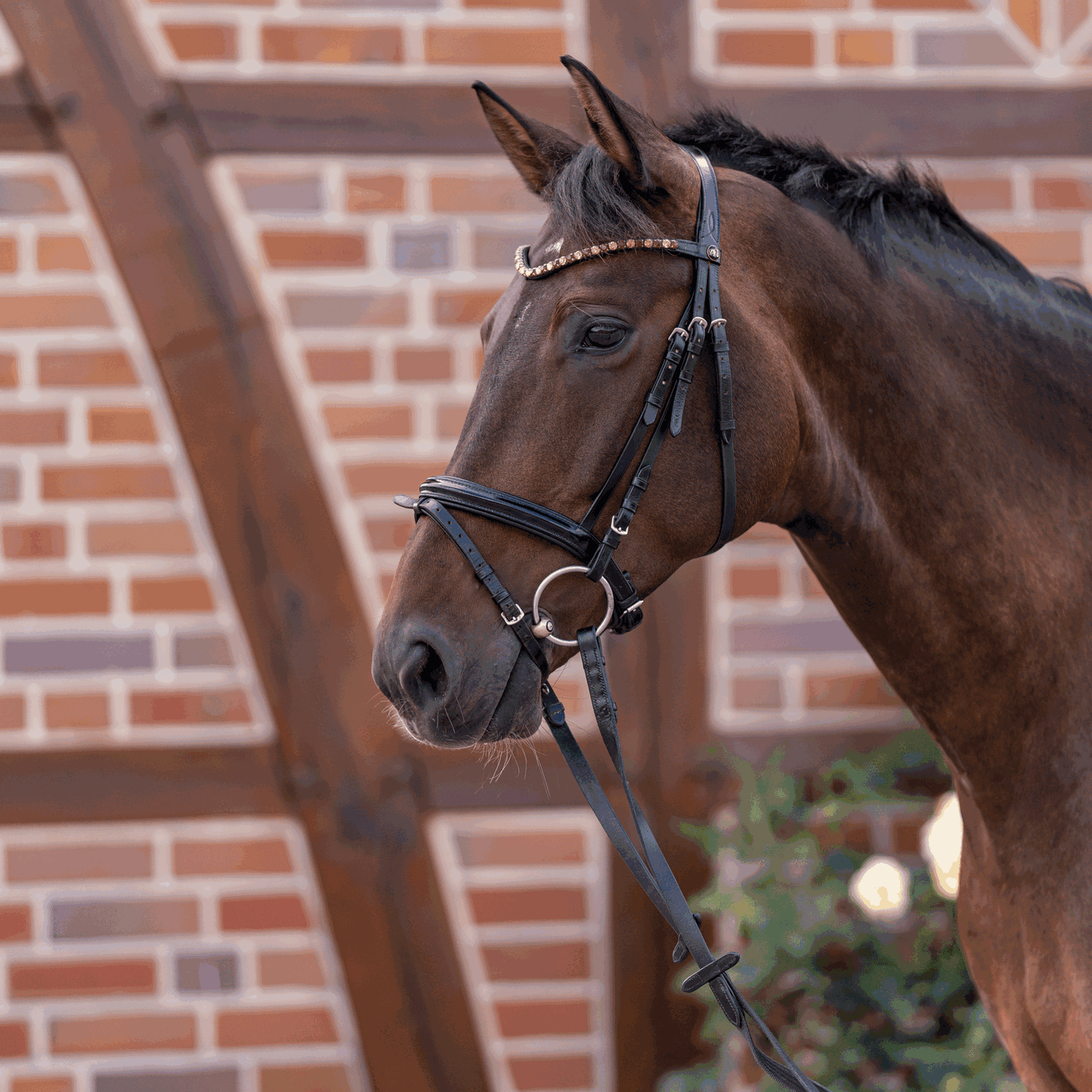 Dynamic RS Wassertrense 14 mm doppelt gebrochen