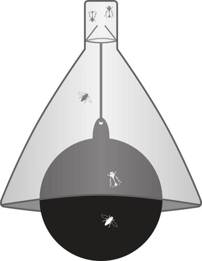 Bremsenfalle TaonX Eco