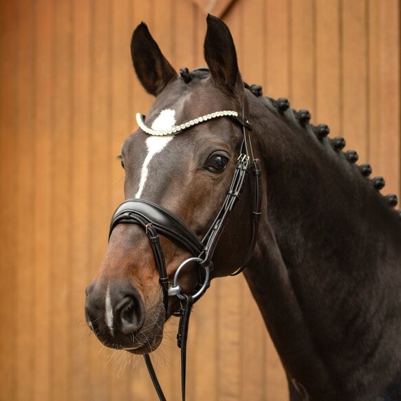 Trense Favorite powered by Ingrid Klimke Passier