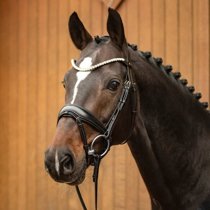 Trense Favorite powered by Ingrid Klimke Passier