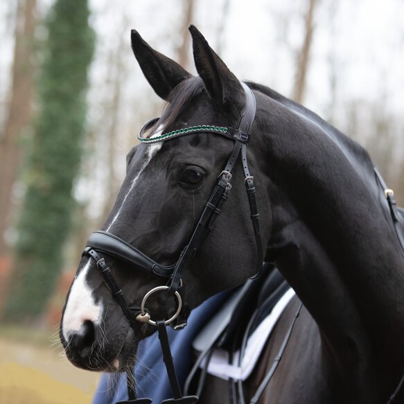 Trense Fantastic Passier