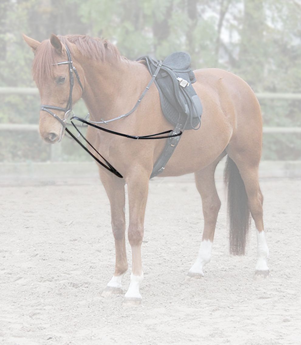 Dreieckszügel Basic