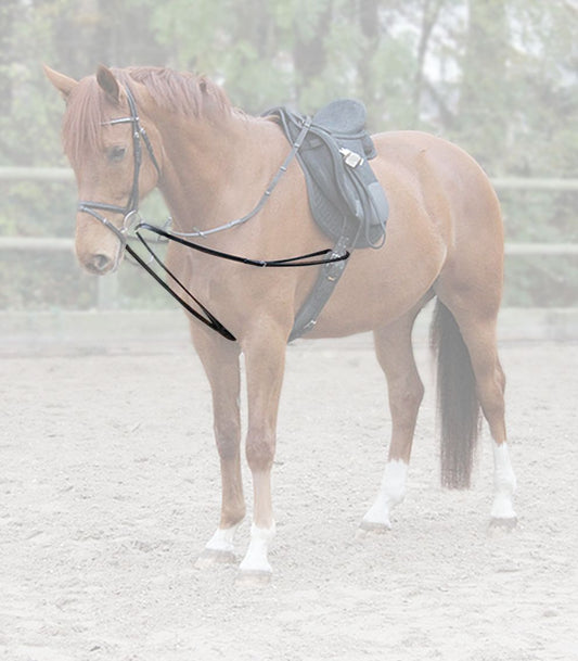 Dreieckszügel Basic