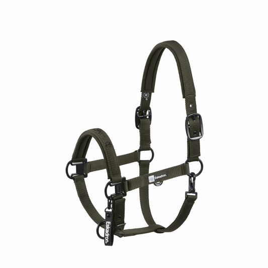 Halfter Double Pin Dynamic 2025 A/W