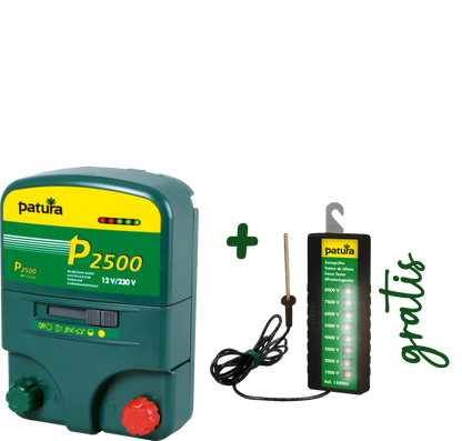P2500, Multifunktions-Gerät, 230V/12V