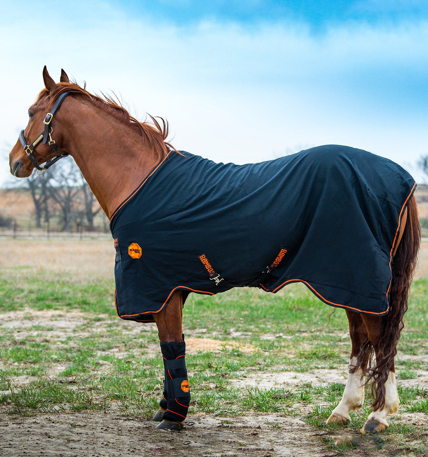 Horseware Abschwitzdecke Ionic Fleece