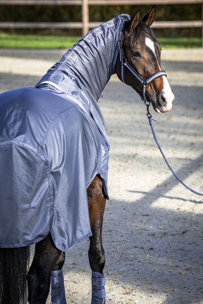 Regenfliegendecke Detach-Neck Platinum 2026